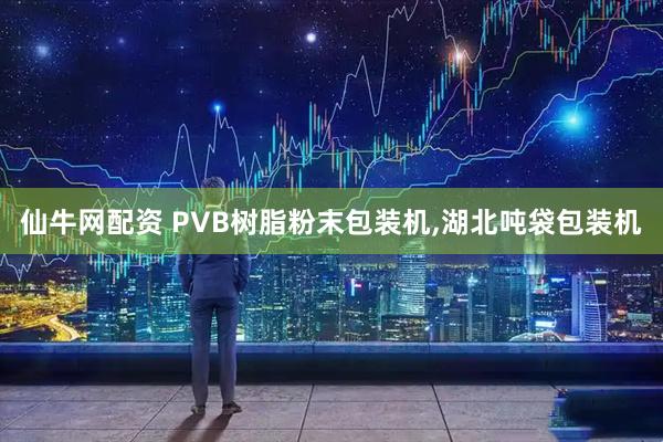 仙牛网配资 PVB树脂粉末包装机,湖北吨袋包装机