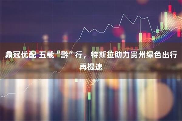 鼎冠优配 五载“黔”行，特斯拉助力贵州绿色出行再提速